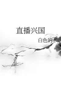 (综武侠同人)直播兴国